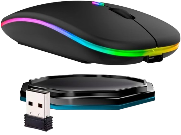 Souris Sans Fil avec Bluetooth Rechargeable