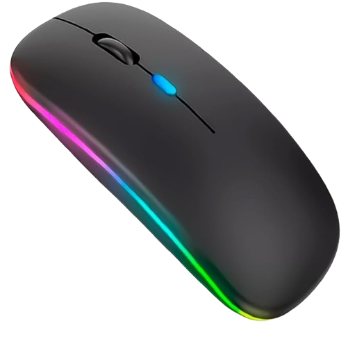 Souris Sans Fil avec Bluetooth Rechargeable